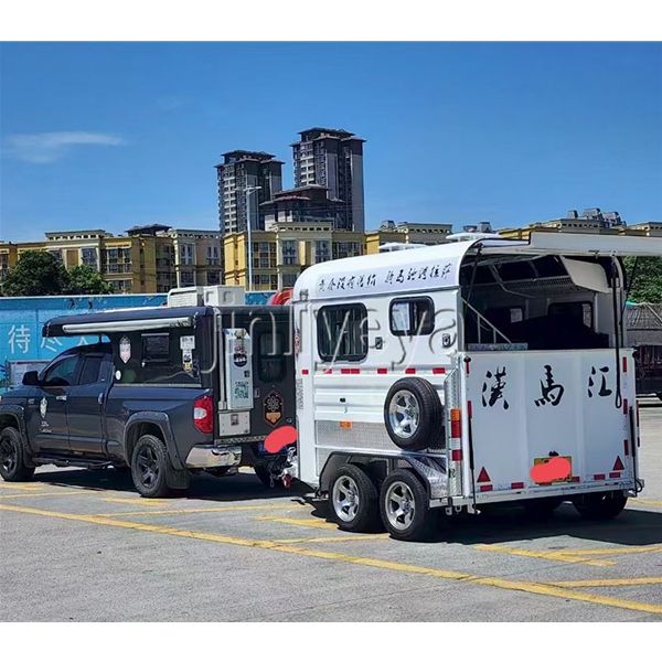 菏泽两马位马车