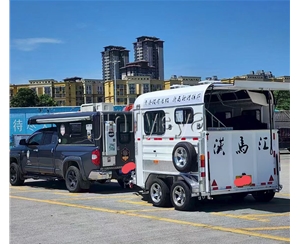 菏泽两马位马车